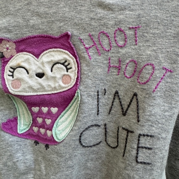 Carter’s 2T Girls Hoot Hoot I’m Cute Gray Owl Long Sleeve Pajama Top - Picture 2 of 6
